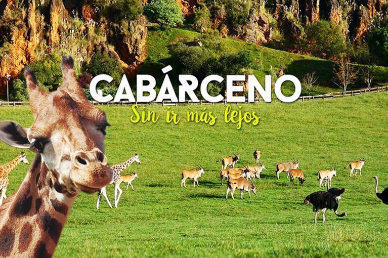 Apartamento De 120M2 Al Lado De Cabarceno Saron Esterno foto